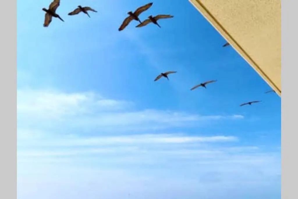 Beach Front 18Th Flr, Best Ocean View, New Upgrades Destin 0*,